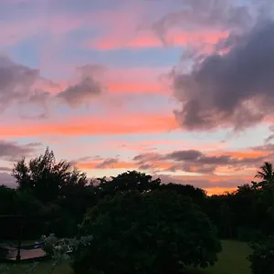 North Shore Garden Haleiwa